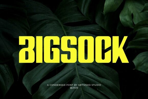 Bigsock: A Bold Font for Digital Campaigns