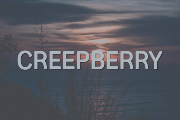 Creepberry: A Modern Font for Creative Campaigns