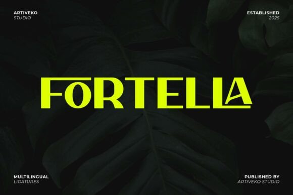 Fortella: A Modern Sans Serif Font